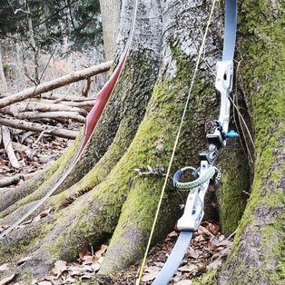 Zwei Bögen lehnen am Baum