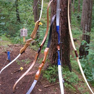 Bögen lehnen am Baum