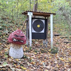 Feldscheibe 80cm und 3D Ziel Pilz stehen im Hang