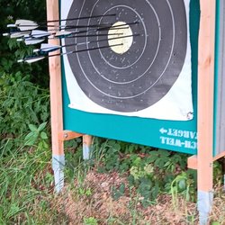 Feldscheibe 80cm